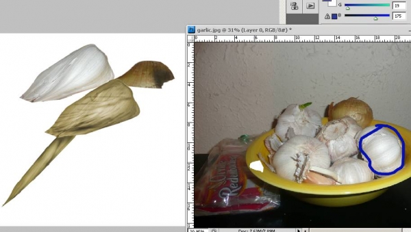 Creation of Onion Bird: Step 2